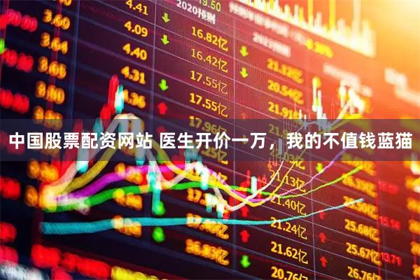 中国股票配资网站 医生开价一万，我的不值钱蓝猫