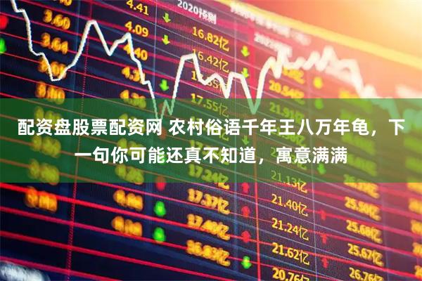 配资盘股票配资网 农村俗语千年王八万年龟，下一句你可能还真不知道，寓意满满